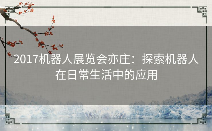 2017机器人展览会亦庄：探索机器人在日常生活中的应用