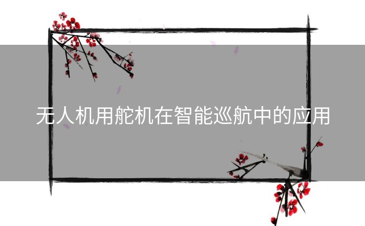 无人机用舵机在智能巡航中的应用