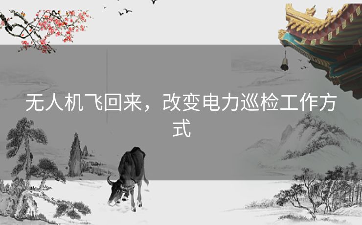 无人机飞回来，改变电力巡检工作方式