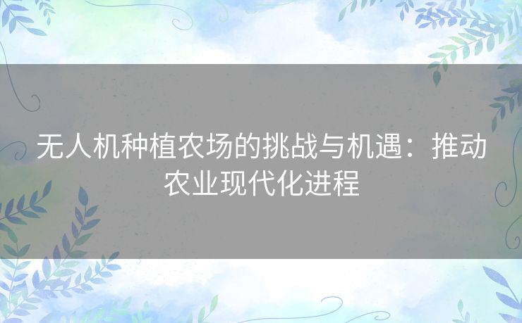 无人机种植农场的挑战与机遇：推动农业现代化进程