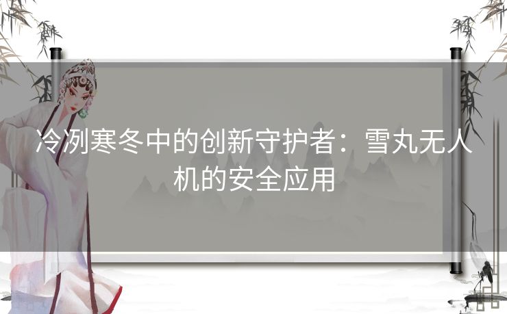 冷冽寒冬中的创新守护者：雪丸无人机的安全应用