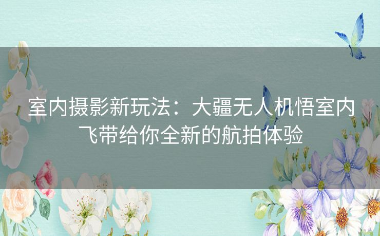 室内摄影新玩法：大疆无人机悟室内飞带给你全新的航拍体验