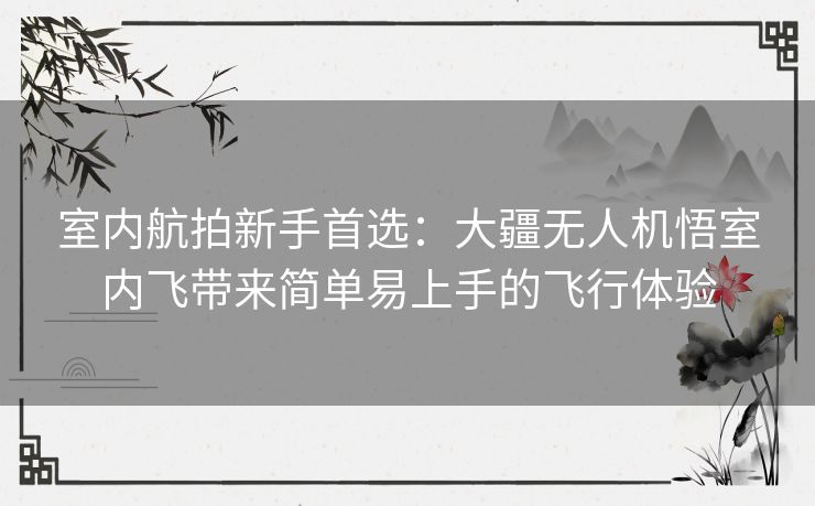 室内航拍新手首选：大疆无人机悟室内飞带来简单易上手的飞行体验