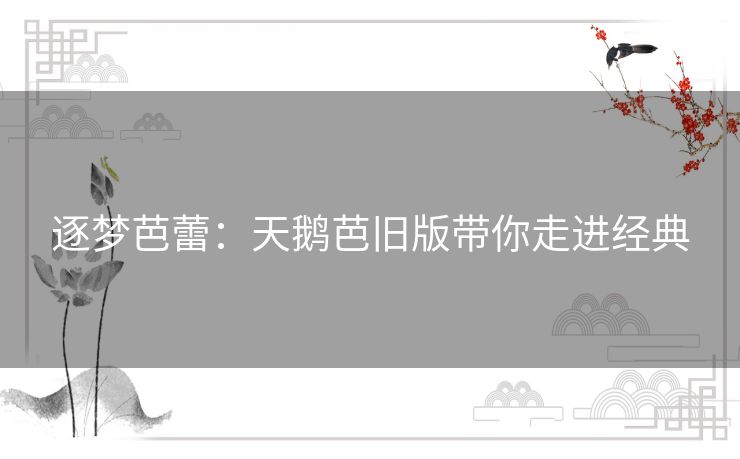 逐梦芭蕾：天鹅芭旧版带你走进经典