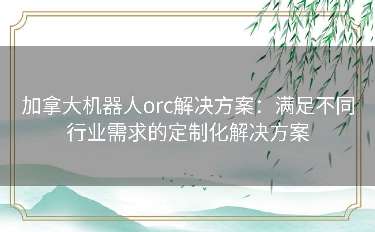 加拿大机器人orc解决方案：满足不同行业需求的定制化解决方案