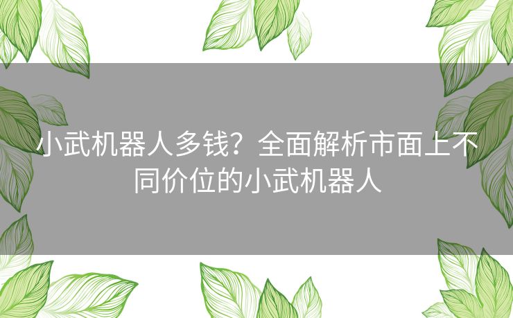 小武机器人多钱？全面解析市面上不同价位的小武机器人
