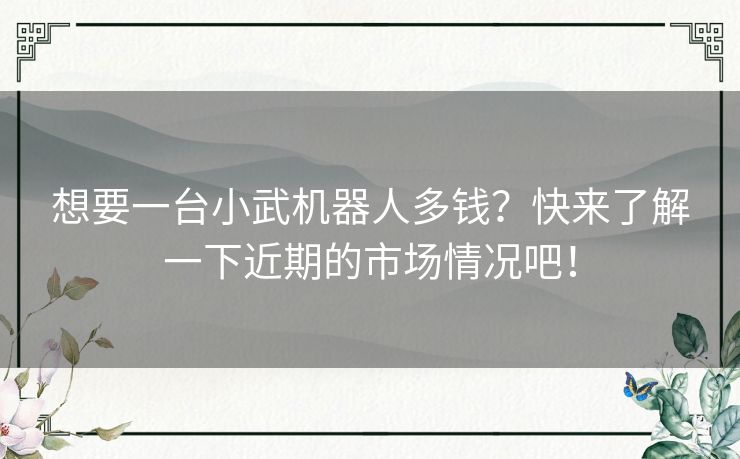 想要一台小武机器人多钱？快来了解一下近期的市场情况吧！
