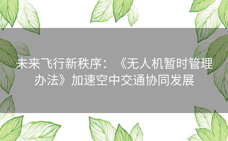 未来飞行新秩序：《无人机暂时管理办法》加速空中交通协同发展