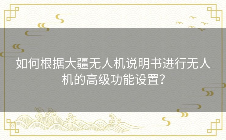 如何根据大疆无人机说明书进行无人机的高级功能设置？