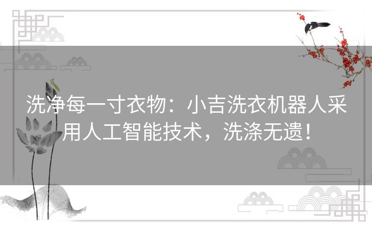 洗净每一寸衣物：小吉洗衣机器人采用人工智能技术，洗涤无遗！