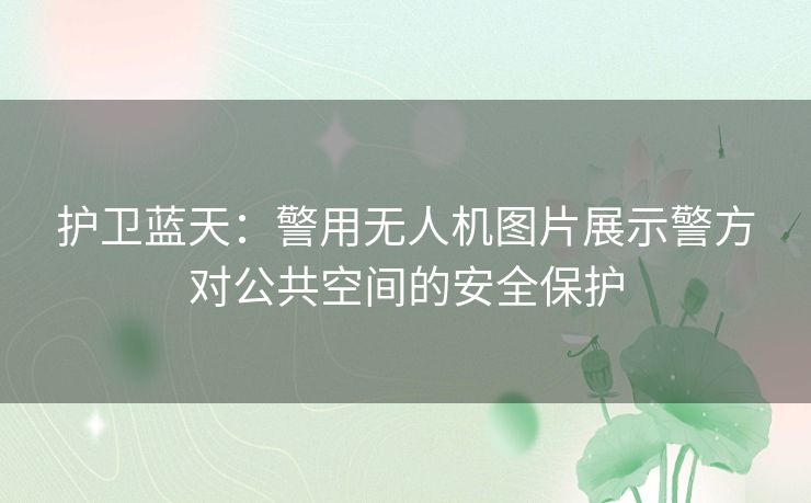 护卫蓝天：警用无人机图片展示警方对公共空间的安全保护