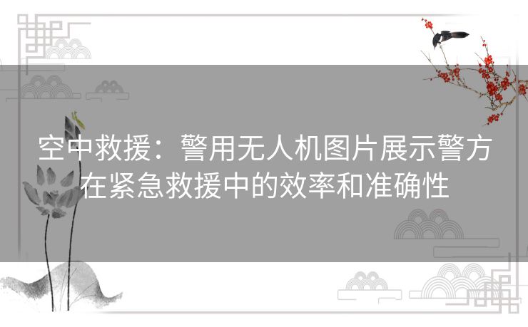 空中救援：警用无人机图片展示警方在紧急救援中的效率和准确性