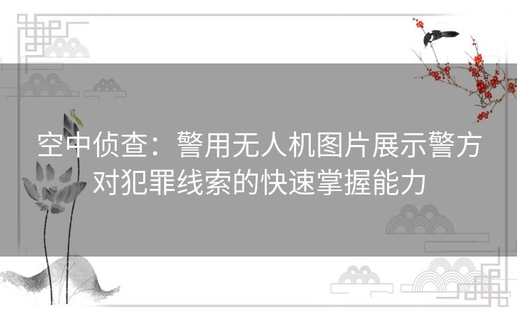空中侦查：警用无人机图片展示警方对犯罪线索的快速掌握能力