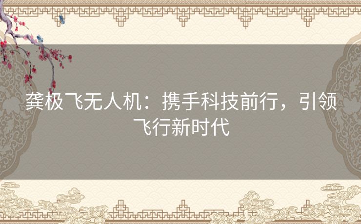 龚极飞无人机：携手科技前行，引领飞行新时代