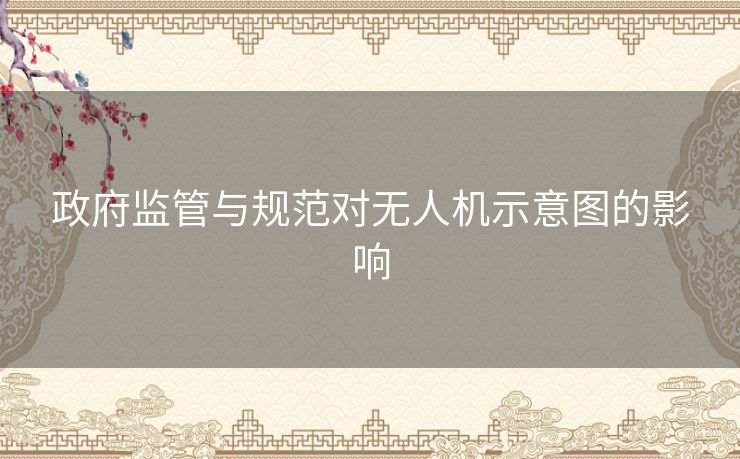 政府监管与规范对无人机示意图的影响