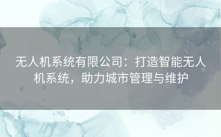 无人机系统有限公司：打造智能无人机系统，助力城市管理与维护