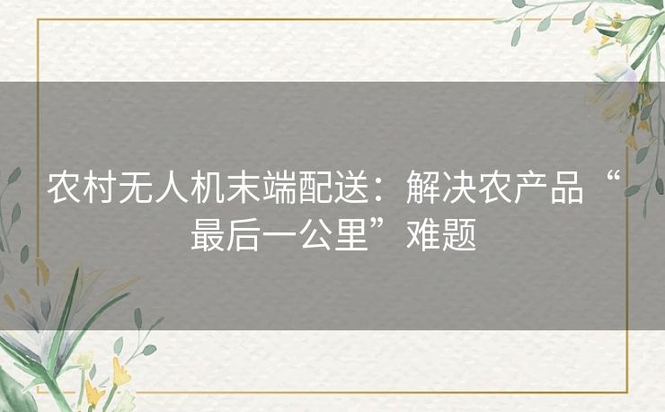 农村无人机末端配送：解决农产品“最后一公里”难题
