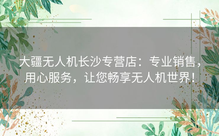 大疆无人机长沙专营店：专业销售，用心服务，让您畅享无人机世界！