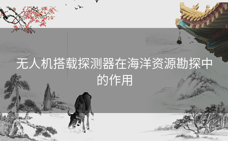 无人机搭载探测器在海洋资源勘探中的作用
