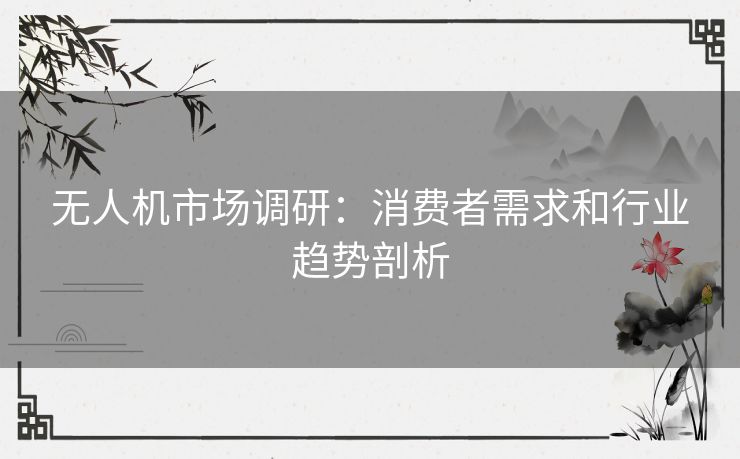 无人机市场调研：消费者需求和行业趋势剖析