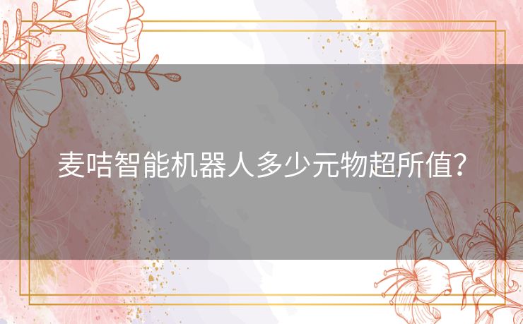 麦咭智能机器人多少元物超所值？
