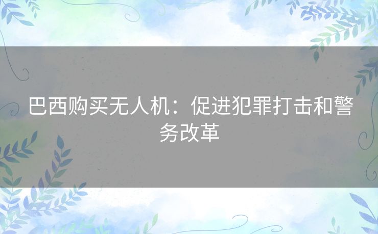巴西购买无人机：促进犯罪打击和警务改革