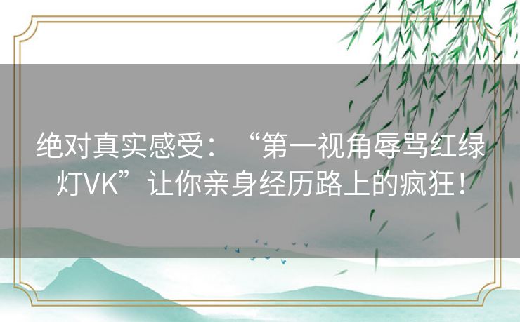 绝对真实感受：“第一视角辱骂红绿灯VK”让你亲身经历路上的疯狂！