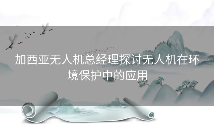 加西亚无人机总经理探讨无人机在环境保护中的应用