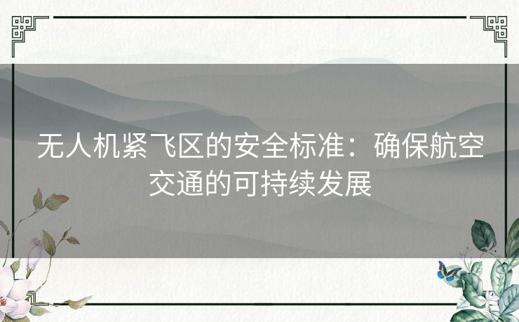 无人机紧飞区的安全标准：确保航空交通的可持续发展