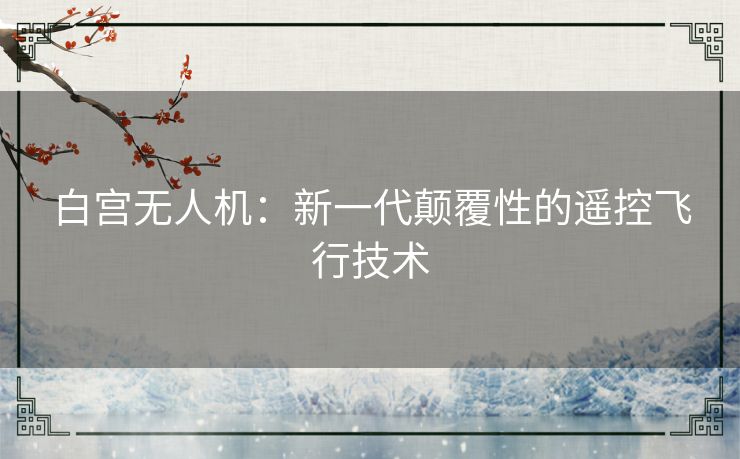 白宫无人机：新一代颠覆性的遥控飞行技术