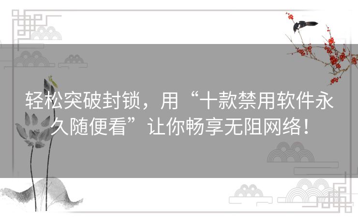 轻松突破封锁，用“十款禁用软件永久随便看”让你畅享无阻网络！