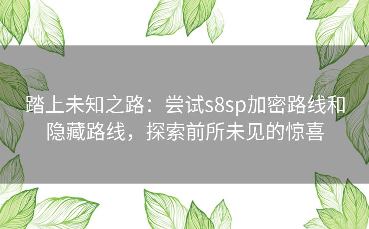 踏上未知之路：尝试s8sp加密路线和隐藏路线，探索前所未见的惊喜
