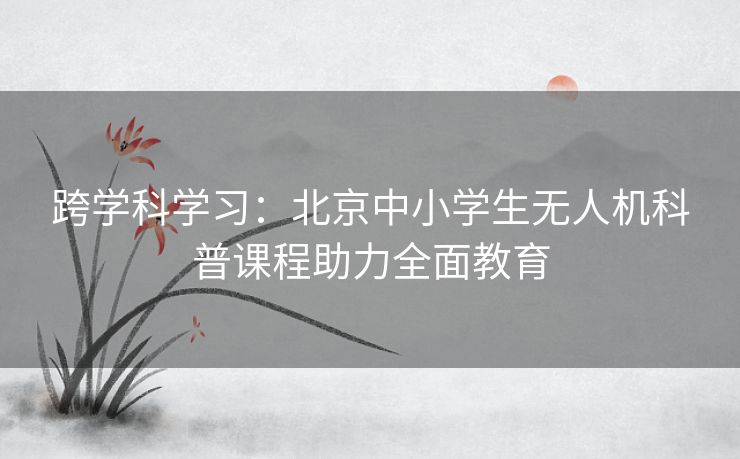 跨学科学习：北京中小学生无人机科普课程助力全面教育