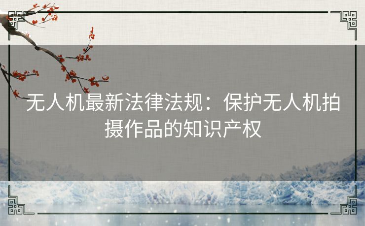 无人机最新法律法规：保护无人机拍摄作品的知识产权