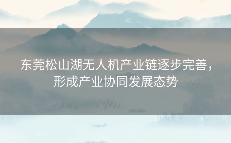 东莞松山湖无人机产业链逐步完善，形成产业协同发展态势
