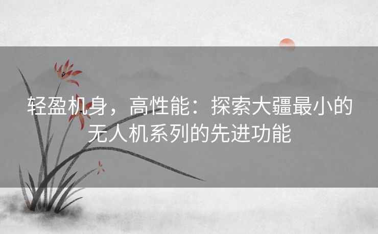 轻盈机身，高性能：探索大疆最小的无人机系列的先进功能