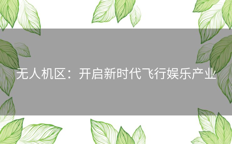 无人机区：开启新时代飞行娱乐产业