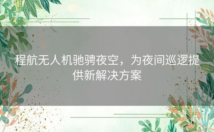 程航无人机驰骋夜空，为夜间巡逻提供新解决方案