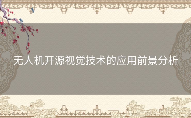 无人机开源视觉技术的应用前景分析