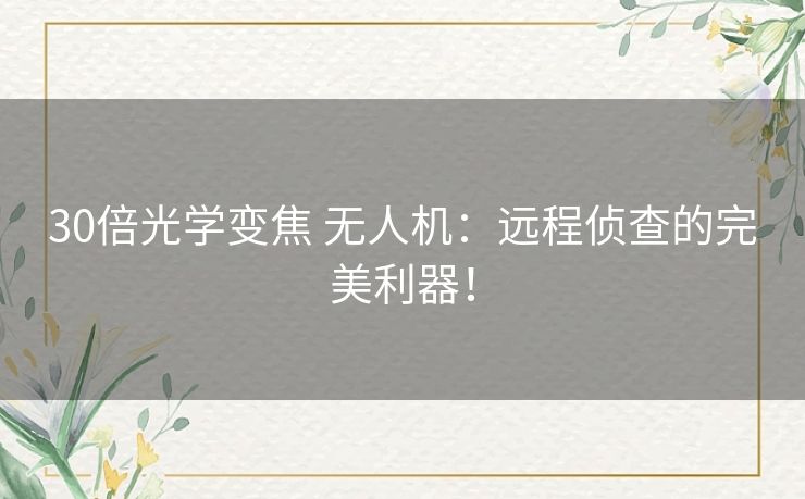 30倍光学变焦 无人机：远程侦查的完美利器！