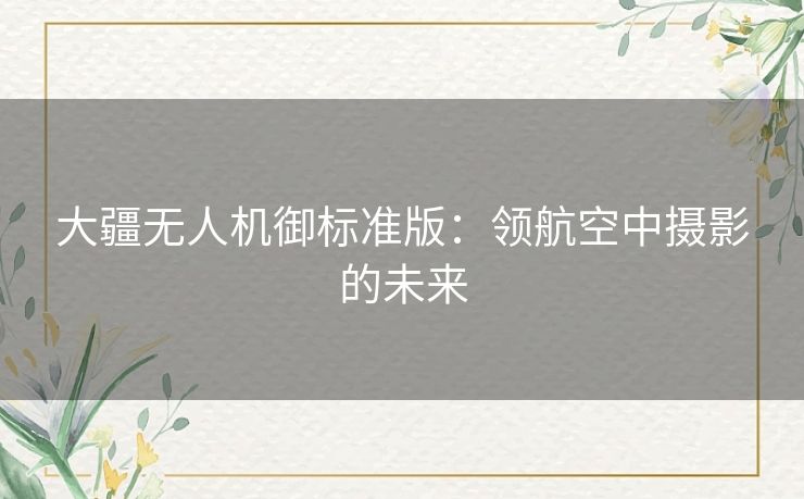 大疆无人机御标准版：领航空中摄影的未来