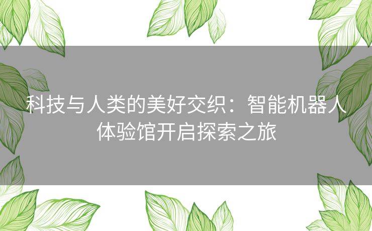 科技与人类的美好交织：智能机器人体验馆开启探索之旅