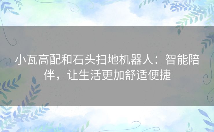 小瓦高配和石头扫地机器人：智能陪伴，让生活更加舒适便捷