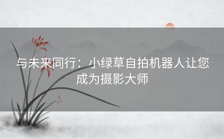 与未来同行：小绿草自拍机器人让您成为摄影大师