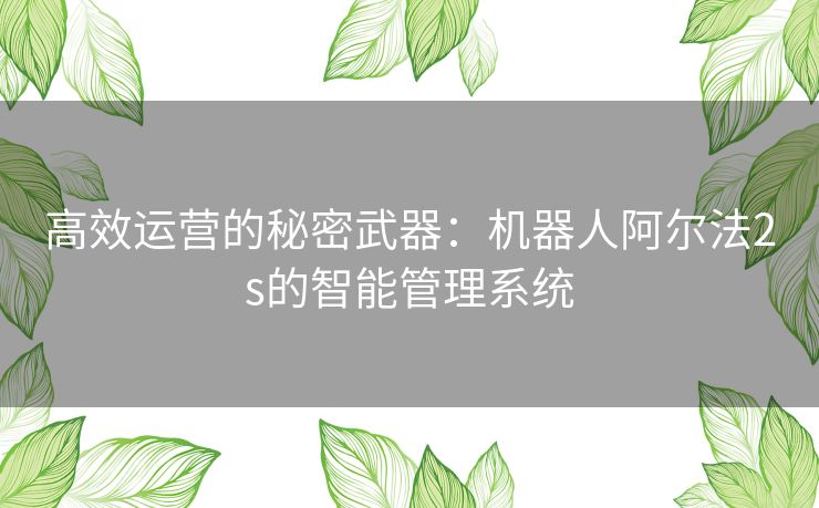 高效运营的秘密武器：机器人阿尔法2s的智能管理系统