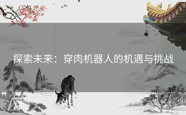 探索未来：穿肉机器人的机遇与挑战