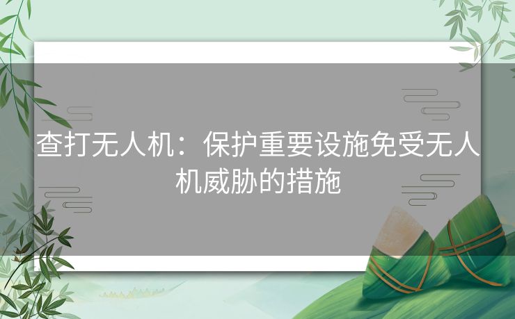 查打无人机：保护重要设施免受无人机威胁的措施