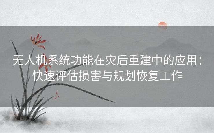 无人机系统功能在灾后重建中的应用：快速评估损害与规划恢复工作