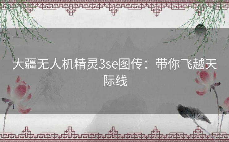 大疆无人机精灵3se图传：带你飞越天际线
