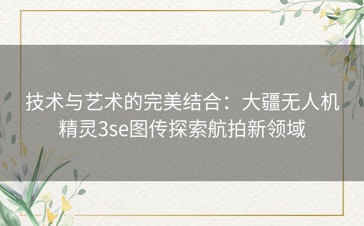 技术与艺术的完美结合：大疆无人机精灵3se图传探索航拍新领域